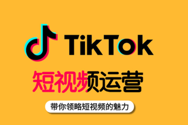 奇迹出海Tiktok线上69天落地陪跑训