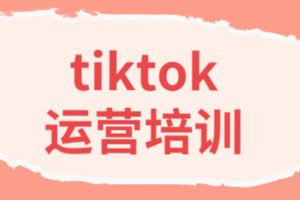 海外TikTok短视频出海启航营（学习精